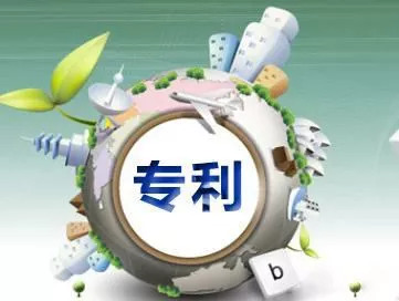 專利權(quán)人的權(quán)利和義務